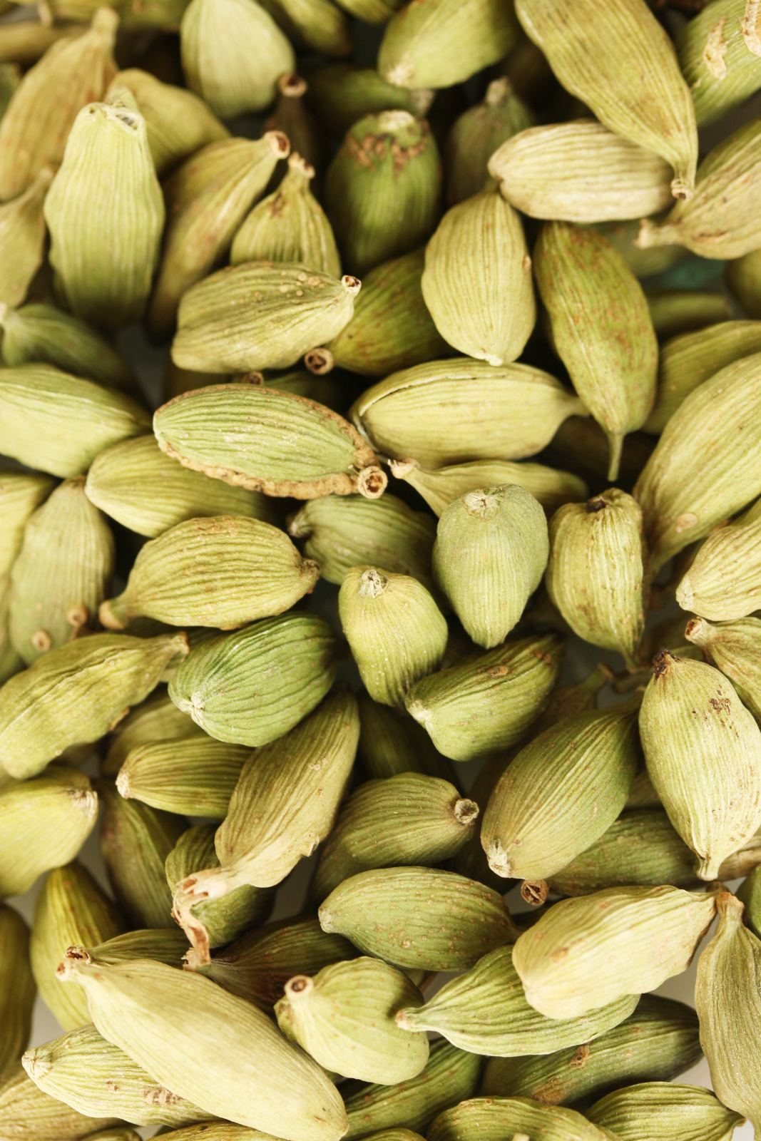 A close-up of whole green cardamom pods